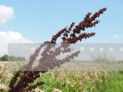 社保逾期的滞纳金怎么算 社保逾期的滞纳金怎么算
