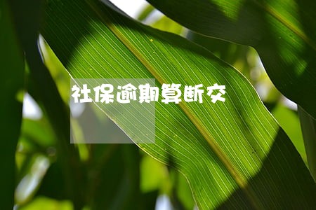 社保逾期算断交 社保逾期算断交