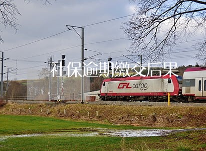 社保逾期缴交后果 社保逾期缴交后果