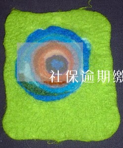 社保逾期缴款对个人有啥影响 社保逾期缴款对个人有啥影响