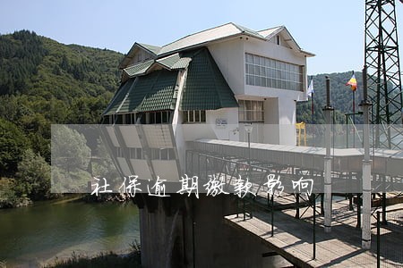 社保逾期缴款影响 社保逾期缴款影响