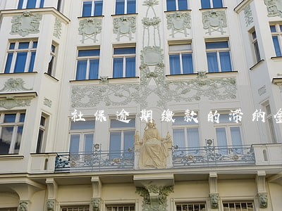 社保逾期缴款的滞纳金怎么算 社保逾期缴款的滞纳金怎么算