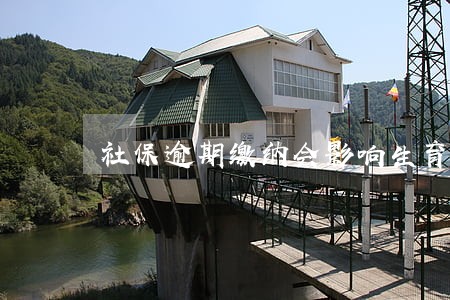 社保逾期缴纳会影响生育津贴吗 社保逾期缴纳会影响生育津贴吗