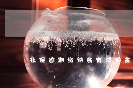 社保逾期缴纳会有滞纳金吗