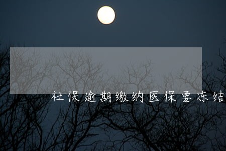 社保逾期缴纳医保要冻结多久