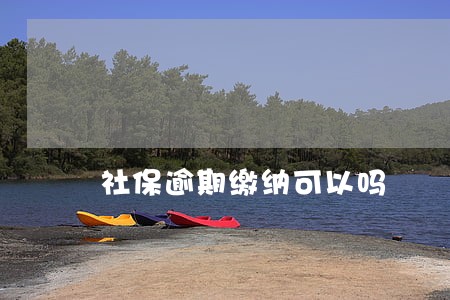 社保逾期缴纳可以吗 社保逾期缴纳可以吗