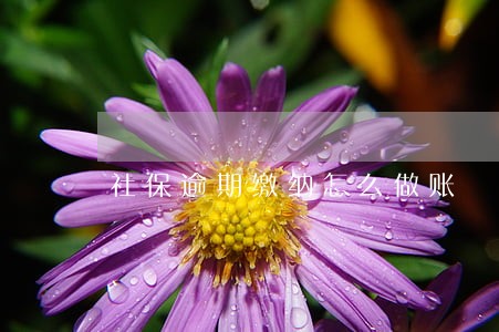社保逾期缴纳怎么做账 社保逾期缴纳怎么做账