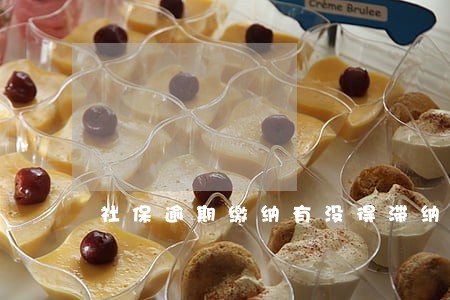 社保逾期缴纳有没得滞纳金 社保逾期缴纳有没得滞纳金
