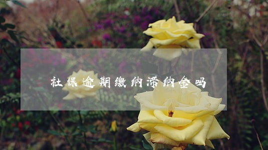 社保逾期缴纳滞纳金吗