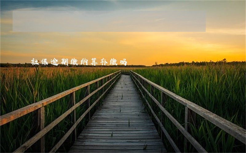 社保逾期缴纳算补缴吗 社保逾期缴纳算补缴吗