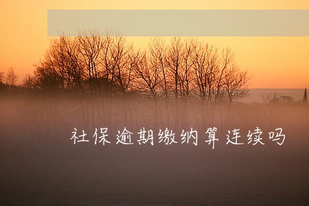 社保逾期缴纳算连续吗 社保逾期缴纳算连续吗