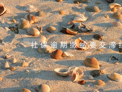 社保逾期缴纳要交滞纳金吗 社保逾期缴纳要交滞纳金吗