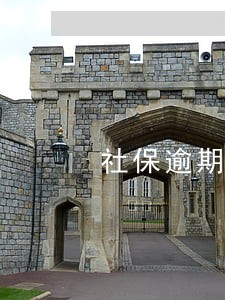 社保逾期缴费 社保逾期缴费