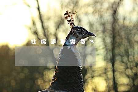 社保逾期缴费3