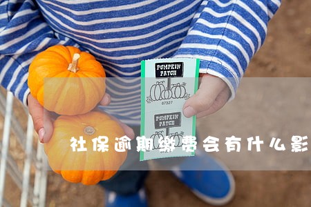 社保逾期缴费会有什么影响吗 社保逾期缴费会有什么影响吗