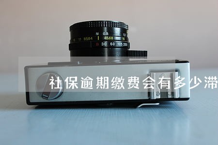 社保逾期缴费会有多少滞纳金 社保逾期缴费会有多少滞纳金