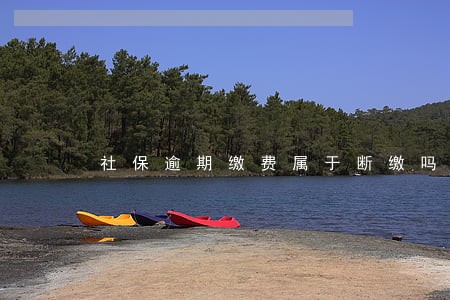社保逾期缴费属于断缴吗 社保逾期缴费属于断缴吗