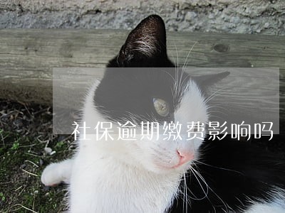 社保逾期缴费影响吗 社保逾期缴费影响吗