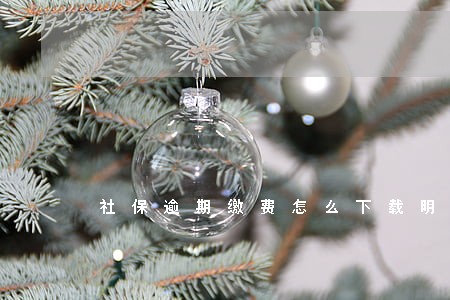社保逾期缴费怎么下载明细 社保逾期缴费怎么下载明细