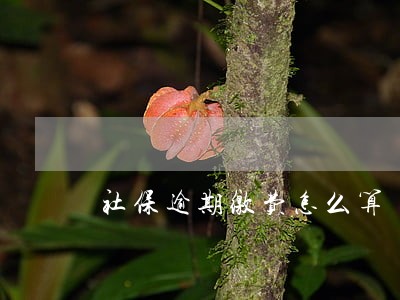 社保逾期缴费怎么算 社保逾期缴费怎么算