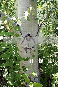 社保逾期缴费是否可以报销 社保逾期缴费是否可以报销