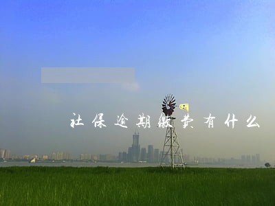 社保逾期缴费有什么 社保逾期缴费有什么