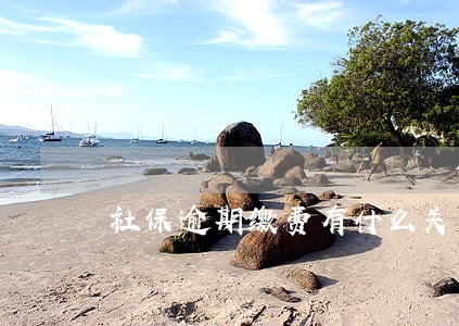 社保逾期缴费有什么关系吗 社保逾期缴费有什么关系吗