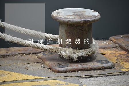 社保逾期缴费的后果 社保逾期缴费的后果