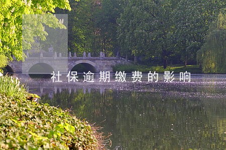 社保逾期缴费的影响 社保逾期缴费的影响