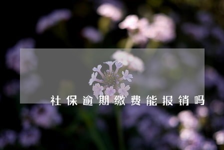 社保逾期缴费能报销吗 社保逾期缴费能报销吗