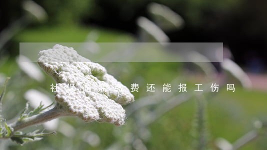 社保逾期缴费还能报工伤吗 社保逾期缴费还能报工伤吗