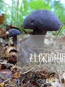 社保逾期罚款会计分录 社保逾期罚款会计分录