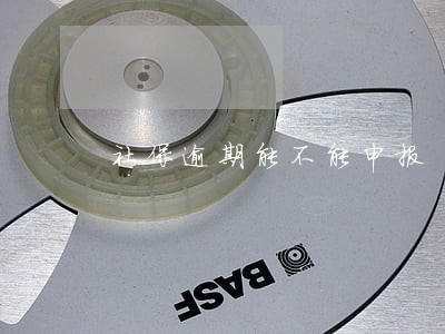 社保逾期能不能申报 社保逾期能不能申报