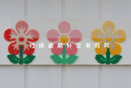 社保逾期补交有效吗 社保逾期补交有效吗