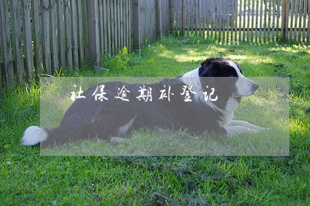 社保逾期补登记 社保逾期补登记