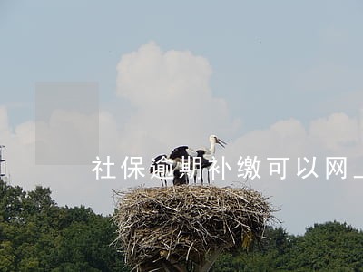 社保逾期补缴可以网上操作 社保逾期补缴可以网上操作