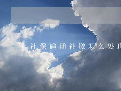 社保逾期补缴怎么处理 社保逾期补缴怎么处理