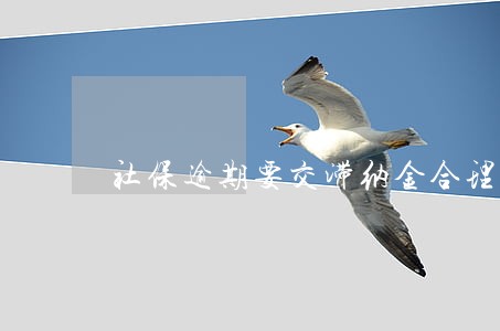 社保逾期要交滞纳金合理吗 社保逾期要交滞纳金合理吗