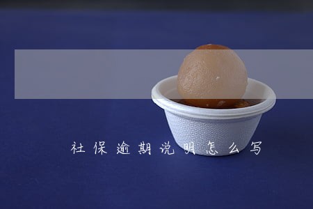 社保逾期说明怎么写 社保逾期说明怎么写