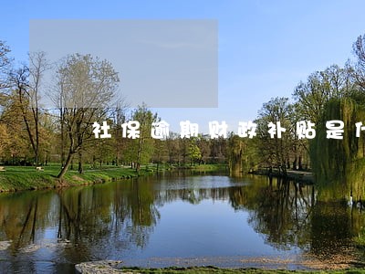 社保逾期财政补贴是什么 社保逾期财政补贴是什么