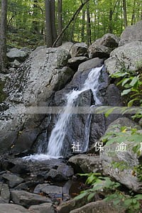 社保逾期还能缴费吗 社保逾期还能缴费吗