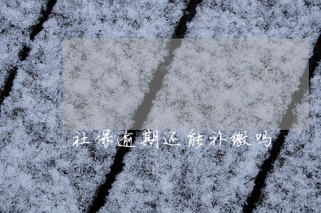 社保逾期还能补缴吗 社保逾期还能补缴吗