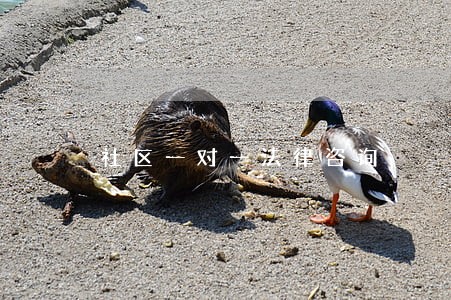 社区一对一法律咨询 社区一对一法律咨询