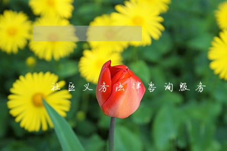 社区义务法律咨询服务 社区义务法律咨询服务