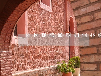 社区保险逾期如何补缴 社区保险逾期如何补缴