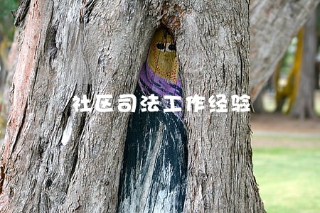 社区司法工作经验 社区司法工作经验