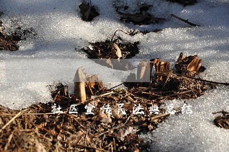 社区宣传民法典总结 社区宣传民法典总结