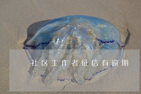 社区工作者征信有逾期 社区工作者征信有逾期