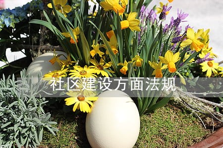 社区建设方面法规
