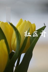 社区开展法律咨询